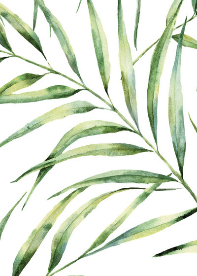 Palm Breeze Fabric - Green | Tejidos decorativos | Feathr