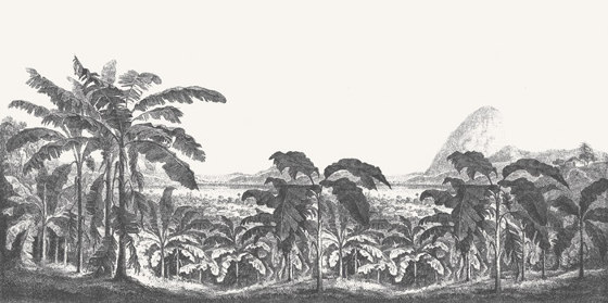 Palms and Mountain - Original | Quadri / Murales | Feathr