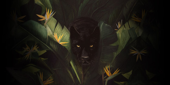 Panther - Original | Arte | Feathr