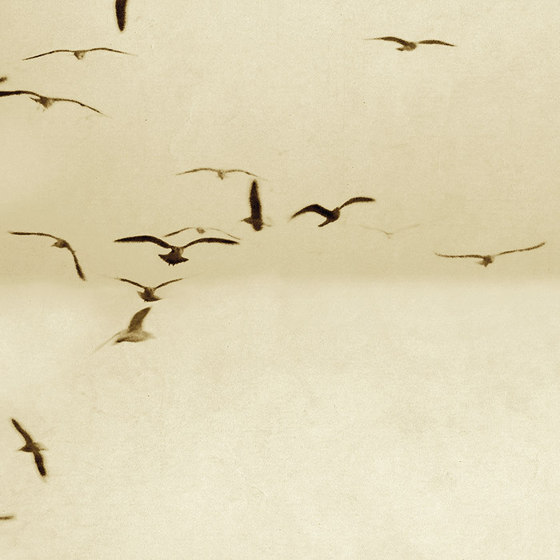 Portuguese Seagulls 02 - Sand | Wall coverings / wallpapers | Feathr