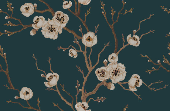 Sakura in Bloom - Blue | Wandbilder / Kunst | Feathr
