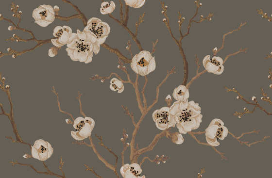 Sakura in Bloom - Green | Wandbilder / Kunst | Feathr