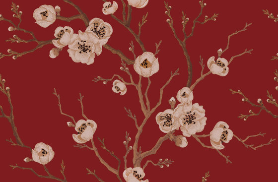 Sakura in Bloom - Red | Wall art / Murals | Feathr