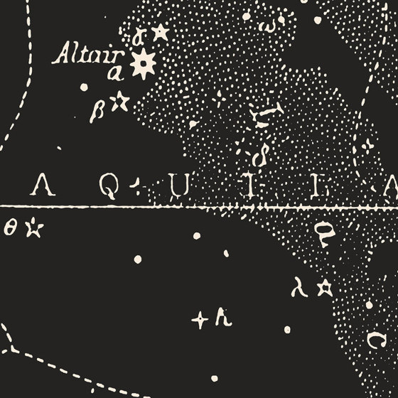 Southern Signs of the Zodiac - Dark | Quadri / Murales | Feathr