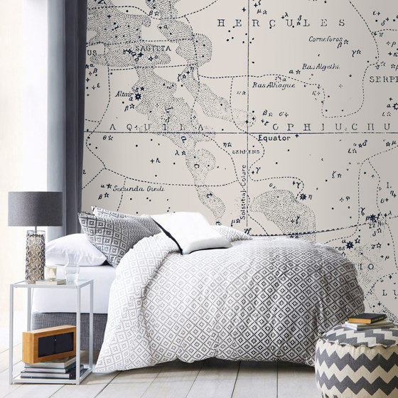 Southern Signs of the Zodiac - Light | Wall art / Murals | Feathr