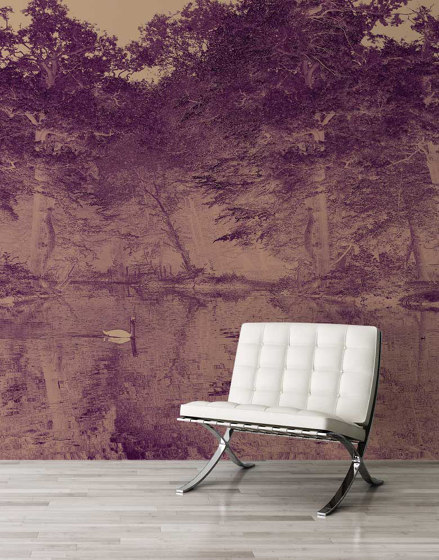 Swan - Lavender | Wall art / Murals | Feathr