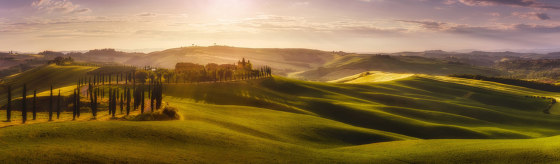Tuscany - Original | Arte | Feathr