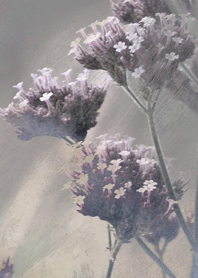 Verbena Fabric - Purple | Tessuti decorative | Feathr