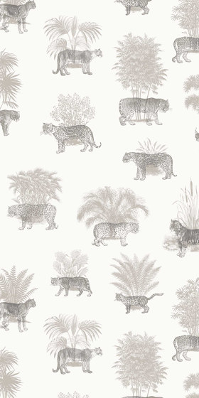 Where They Belong Tropical - Grey | Wall coverings / wallpapers | Feathr