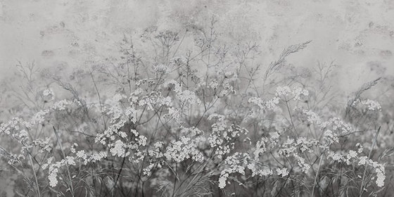 Wild Flowers - Original | Peintures murales / art | Feathr