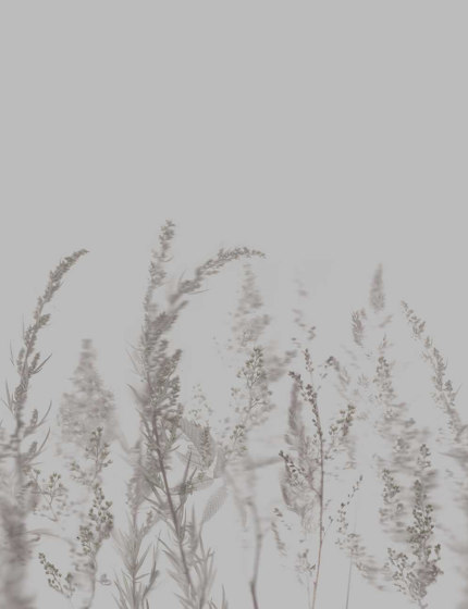 Windy Meadow - Cloudy Grey | Carta parati / tappezzeria | Feathr