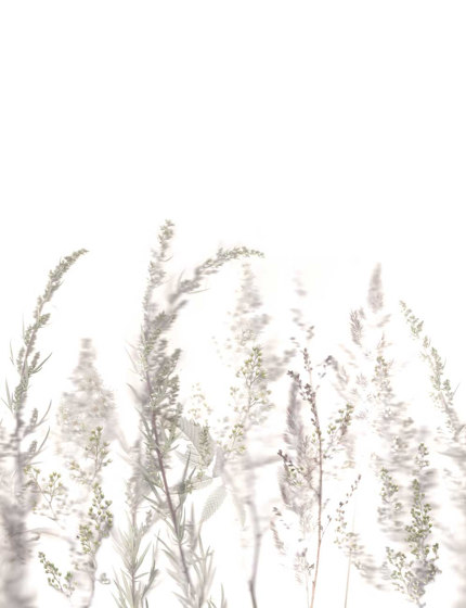 Windy Meadow - White Mist | Revêtements muraux / papiers peint | Feathr