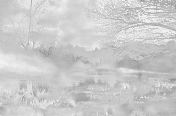 Worsley Woodland - Monochrome | Wandbilder / Kunst | Feathr