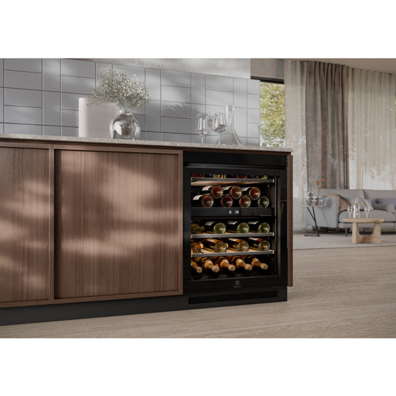 800 Wine Cabinet 40 bottles 2 temperature zones 595 mm | Cantinette | Electrolux Group