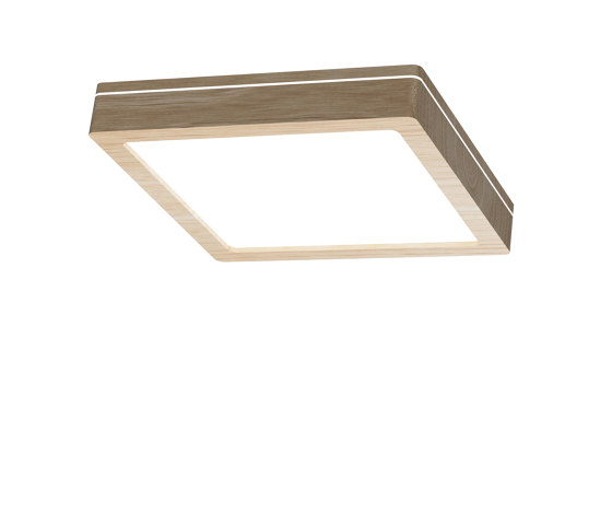 Wood Downlight Square | Wall lights | LIGHTGUIDE AG