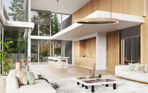 Wood Dual Ellipse | Lámparas de pared | LIGHTGUIDE AG