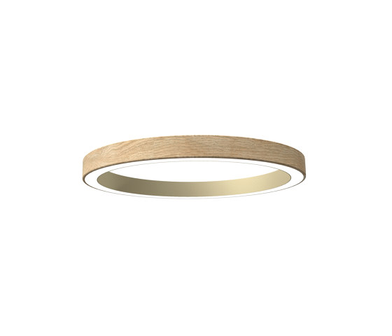 Wood Dual Ring 610 | Lampade parete | LIGHTGUIDE AG