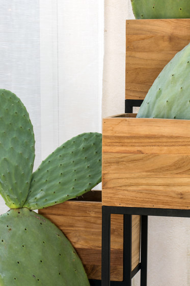 Ciro Planter Rack-Wood Vase 95  |  | cbdesign