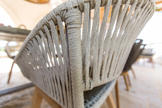 Dalia Dining Armchair  | Chairs | cbdesign