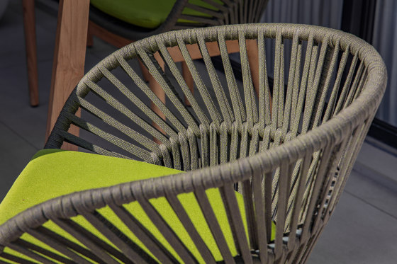 Gemma Dining Chair  | Chairs | cbdesign
