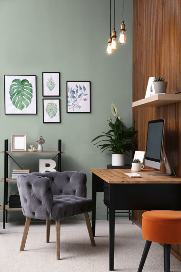 Puro Wandfarbe | c5001 - sage green | Wandfarben | Architects Paper