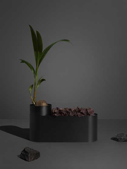 Plant Here Black | Vasi piante | MIZETTO