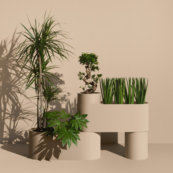 Plant Here Latte | Pots de fleurs | MIZETTO