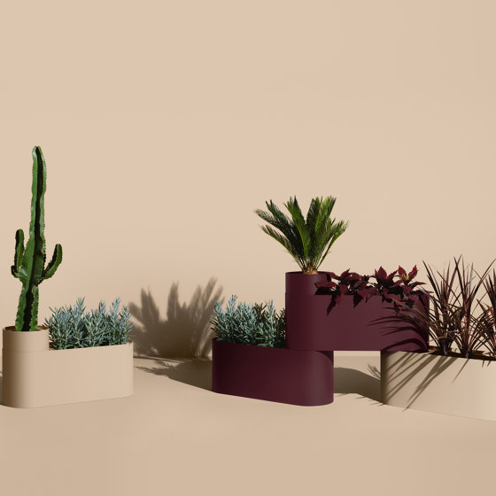 Plant Here Latte | Vasi piante | MIZETTO