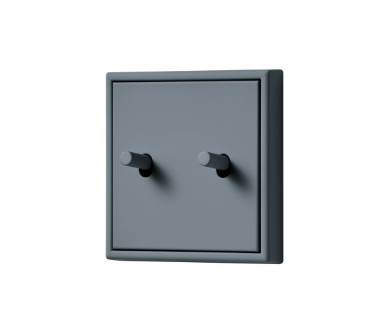 LS 1912 in Les Couleurs® Le Corbusier Switch in The dynamic medium grey | Interruttori leva | JUNG