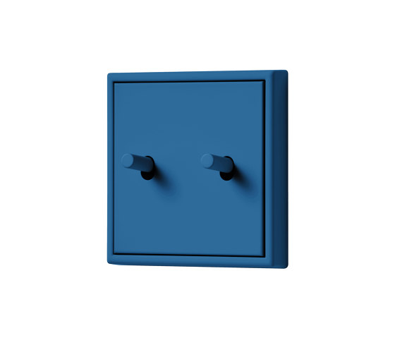 LS 1912 in Les Couleurs® Le Corbusier Switch in The powerful cerulean | Interruptores a palanca | JUNG