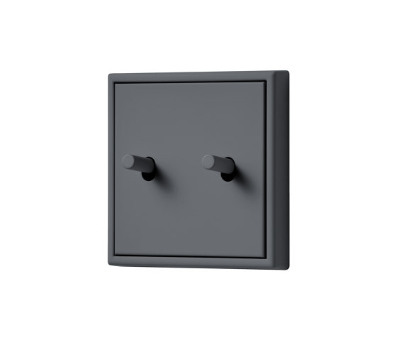LS 1912 in Les Couleurs® Le Corbusier Switch in The iron grey | Interruptores a palanca | JUNG