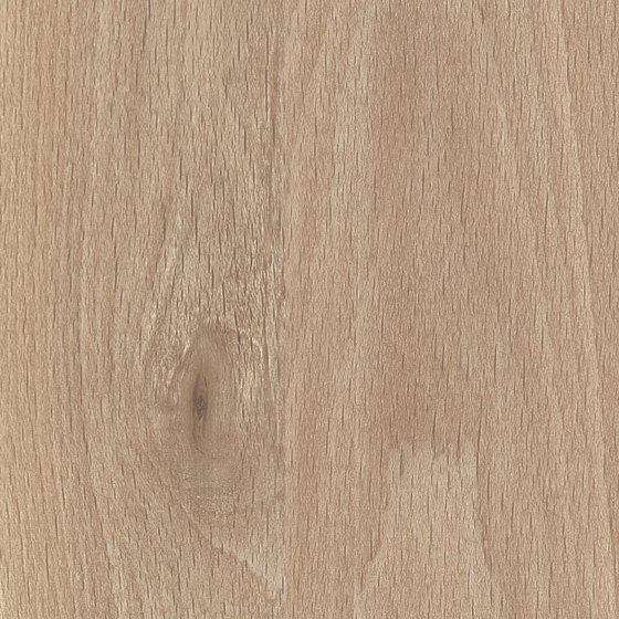 Kajus Beech | Wood panels | Pfleiderer