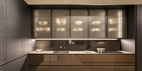 Showcases | Vetrina Door | Armarios de cocina | Valcucine