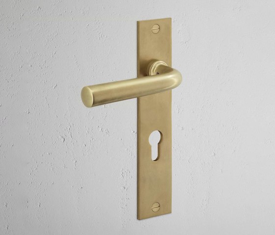 Apsley Long Plate Sprung Door Handle & Euro Lock | Lever handles | Corston Architectural Detail