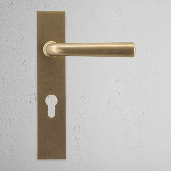 Apsley Long Plate Sprung Door Handle & Euro Lock | Lever handles | Corston Architectural Detail