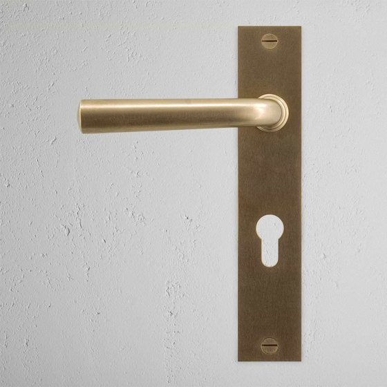 Apsley Long Plate Sprung Door Handle & Euro Lock | Lever handles | Corston Architectural Detail