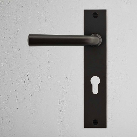 Apsley Long Plate Sprung Door Handle & Euro Lock | Lever handles | Corston Architectural Detail