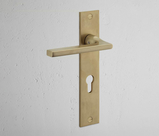 Clayton Long Plate Sprung Door Handle & Euro Lock | Lever handles | Corston Architectural Detail