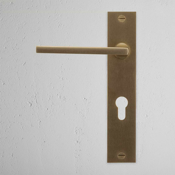 Clayton Long Plate Sprung Door Handle & Euro Lock | Lever handles | Corston Architectural Detail