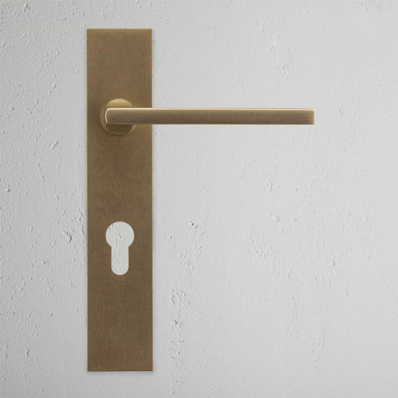 Clayton Long Plate Sprung Door Handle & Euro Lock | Lever handles | Corston Architectural Detail