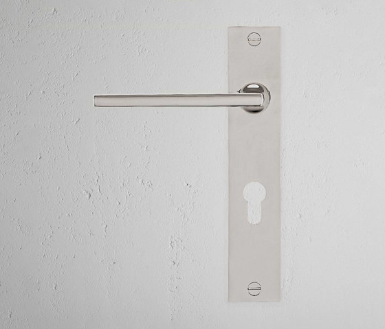 Clayton Maniglia per porta con molla e serratura euro su placca lunga | Maniglie porta | Corston Architectural Detail