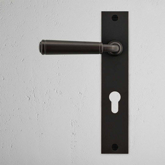 Digby Long Plate Sprung Door Handle & Euro Lock | Lever handles | Corston Architectural Detail