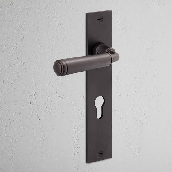 Digby Long Plate Sprung Door Handle & Euro Lock | Lever handles | Corston Architectural Detail