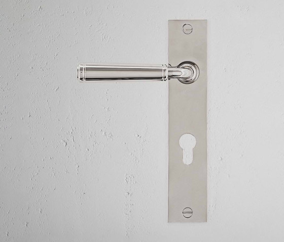 Digby Long Plate Sprung Door Handle & Euro Lock | Lever handles | Corston Architectural Detail