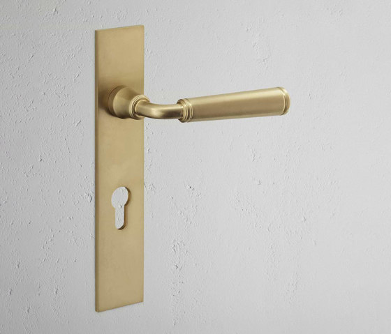 Digby Long Plate Sprung Door Handle & Euro Lock | Lever handles | Corston Architectural Detail