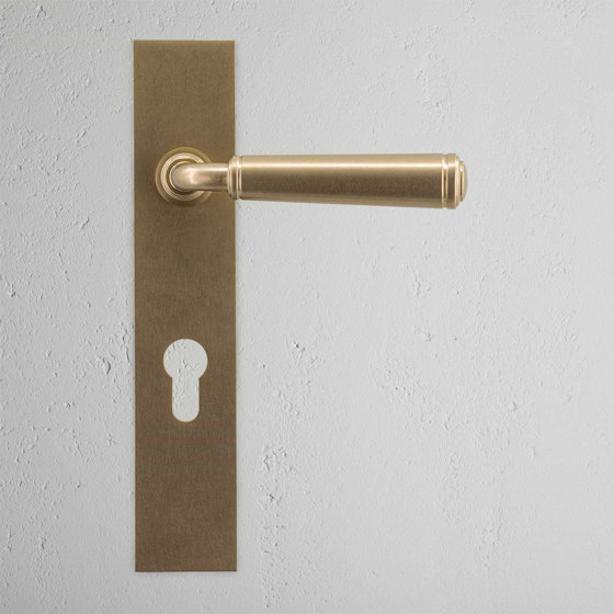 Digby Long Plate Sprung Door Handle & Euro Lock | Lever handles | Corston Architectural Detail