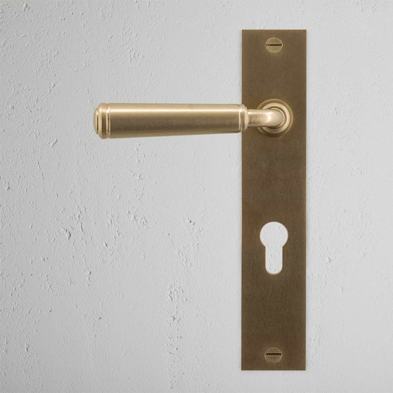 Digby Long Plate Sprung Door Handle & Euro Lock | Lever handles | Corston Architectural Detail