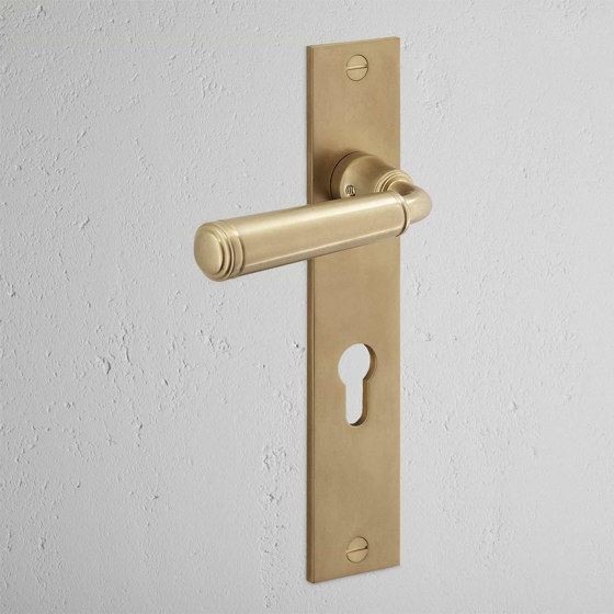 Digby Long Plate Sprung Door Handle & Euro Lock | Lever handles | Corston Architectural Detail