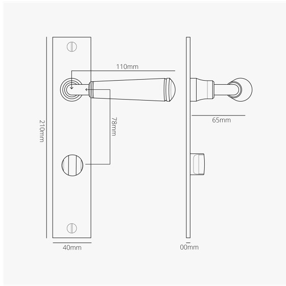 Digby Long Plate Sprung Door Handle & Thumbturn | Lever handles | Corston Architectural Detail