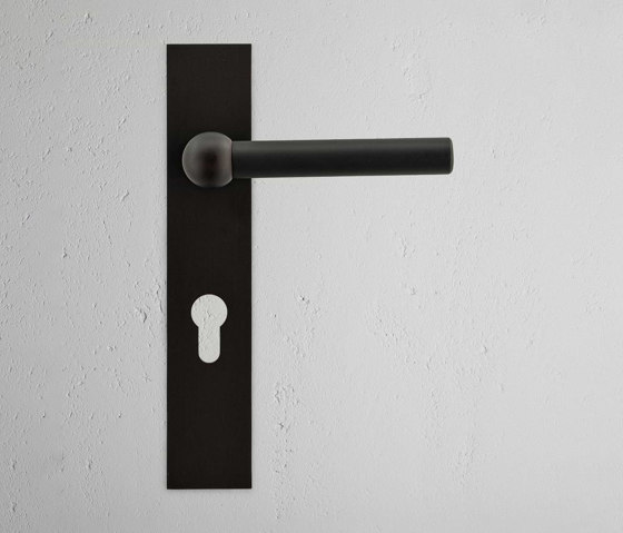 Manilla para puertas Harper con placa larga (con muelle) y cerradura europea | Manillas | Corston Architectural Detail